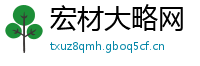 宏材大略网